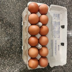 Fresh Brown Eggs