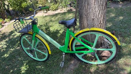 Adult Bike