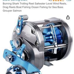Shark Reel 