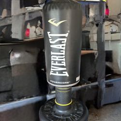 Everlast Powercore Punching Bag 