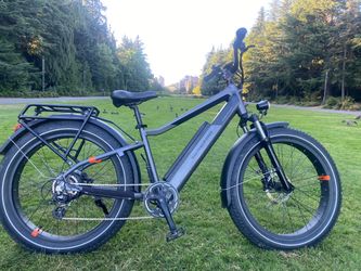 RadRover 6 plus ebike / Fat tire / Excellent condition