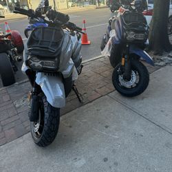 Tank Pro 200cc Gas Scooter Brand New 