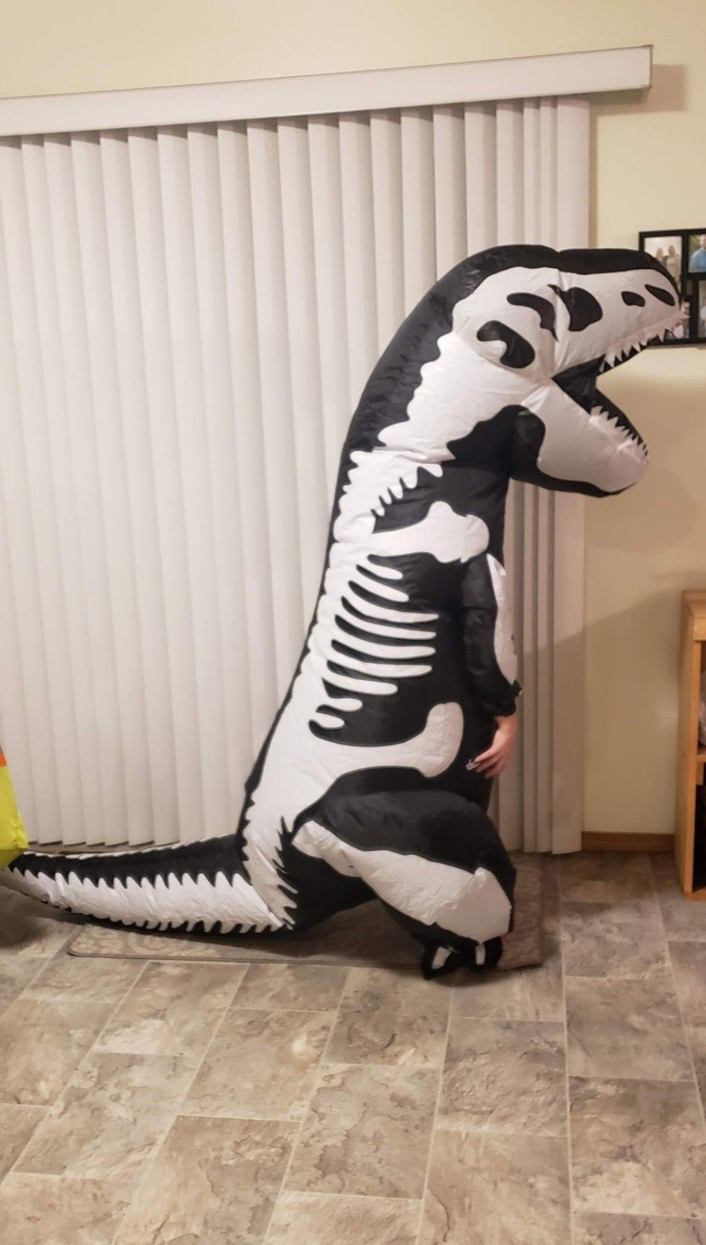 Dinosaur skeleton blow up costume