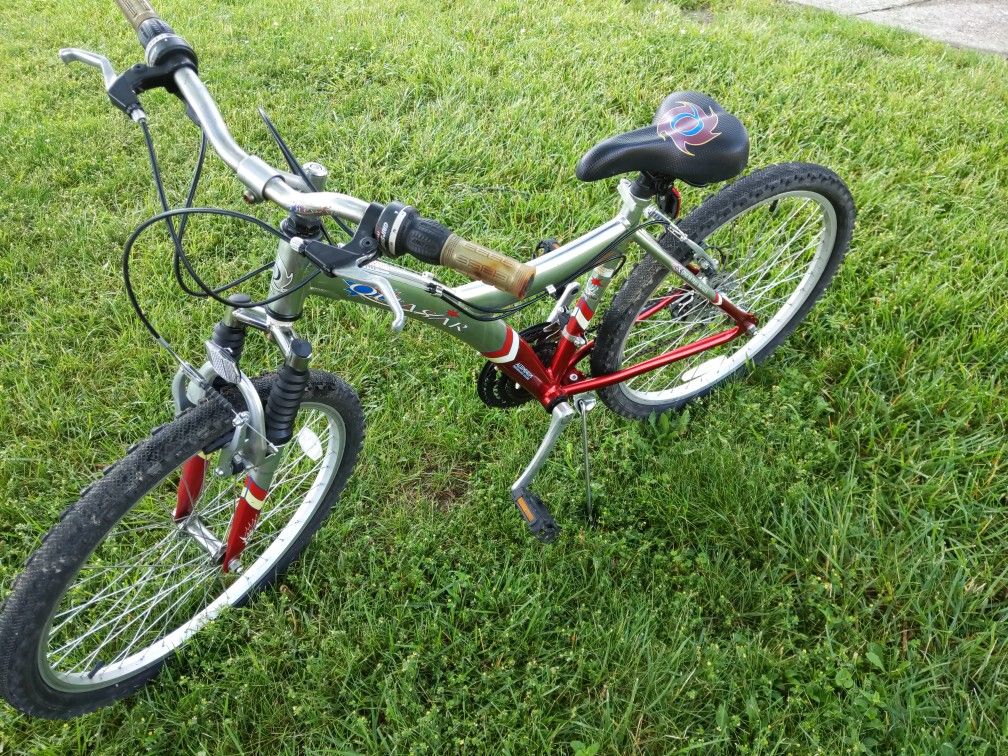 Brand New 24-in Bike Aluminum Frame