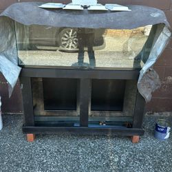 Fish Tank