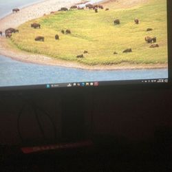 240hz Gaming Monitor 
