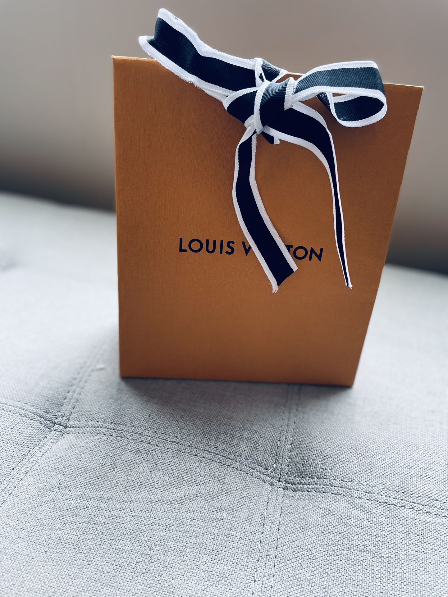 Louis Vuitton Gift Bags