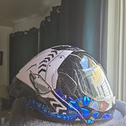 WLT motorcycle Helmet