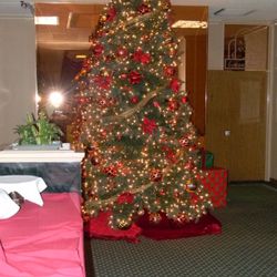 Premium 12 ft Christmas Tree