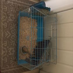 Guinea pig/ hamster cage