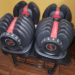 Bowflex Dumbells and Flybird Bench