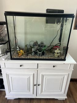 39 Gallon Tank With Everything Included