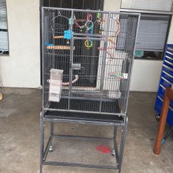 Bird Cage
