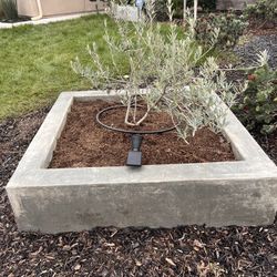 Concrete Planter 