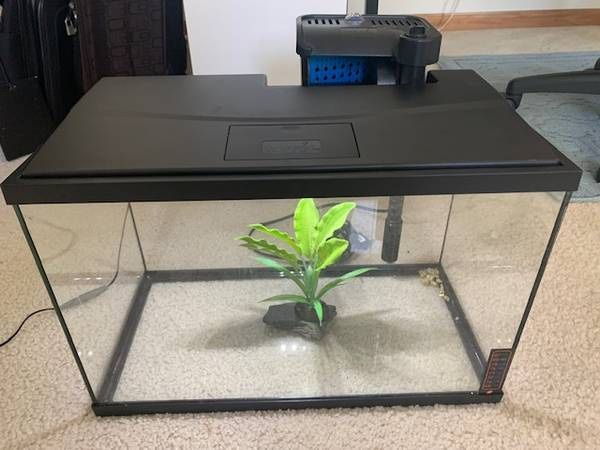 5-Gallon Fish Tank with Filters and Decorative Plant