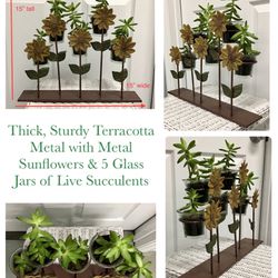 Thick, Sturdy Terracotta Metal with Metal Sunflowers & 5 Glass Jars of Live Succulents