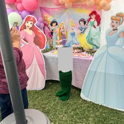 Disney Princess Party Cardboards 