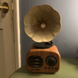 Bluetooth Speaker and Radio