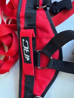 RC kid/child ski/snowboard training harness