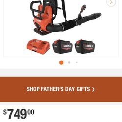 ECHO eFORCE 56V 195 MPH 795 CFM Cordless Battery Backpack Blower w/Tube Throttle & (2) 5.0Ah Batteri