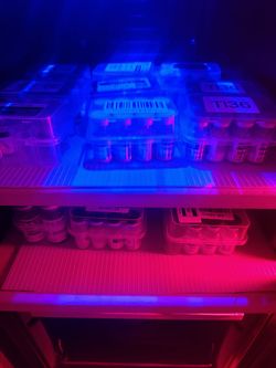 Mini refrigerator