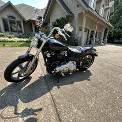 2022 Harley Davidson Softail Standard
