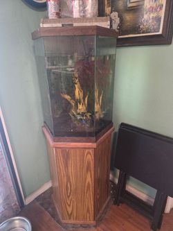 Fish tank
