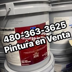 Pintura Y Material Paint & Supplies 