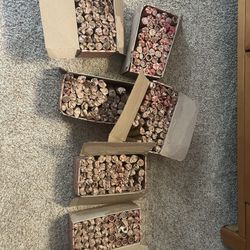Copper Pennies (150FV) 