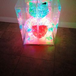 Valentine Day Gift Light Up Giant  Bear 