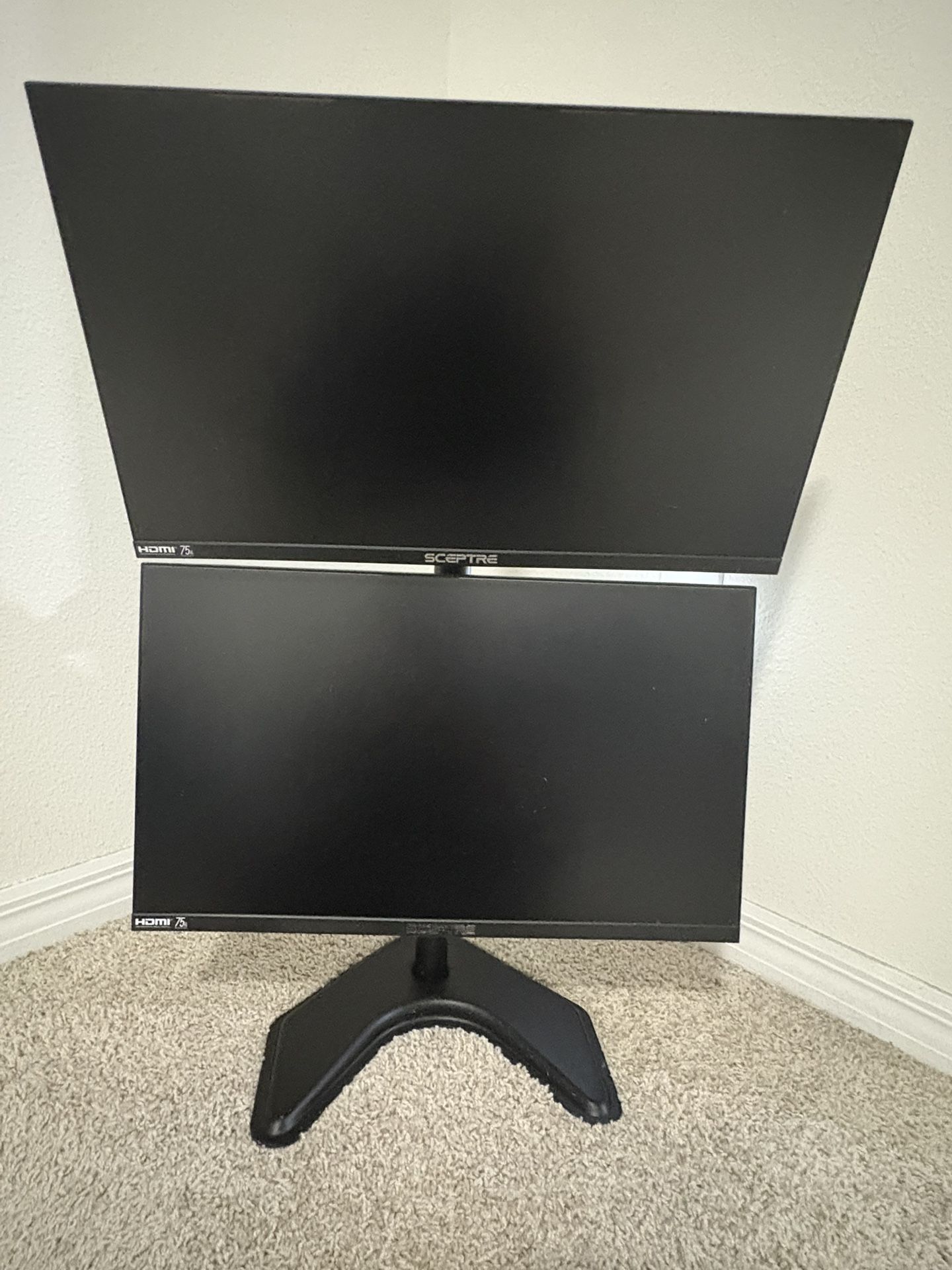 Sceptre Monitors with Stand