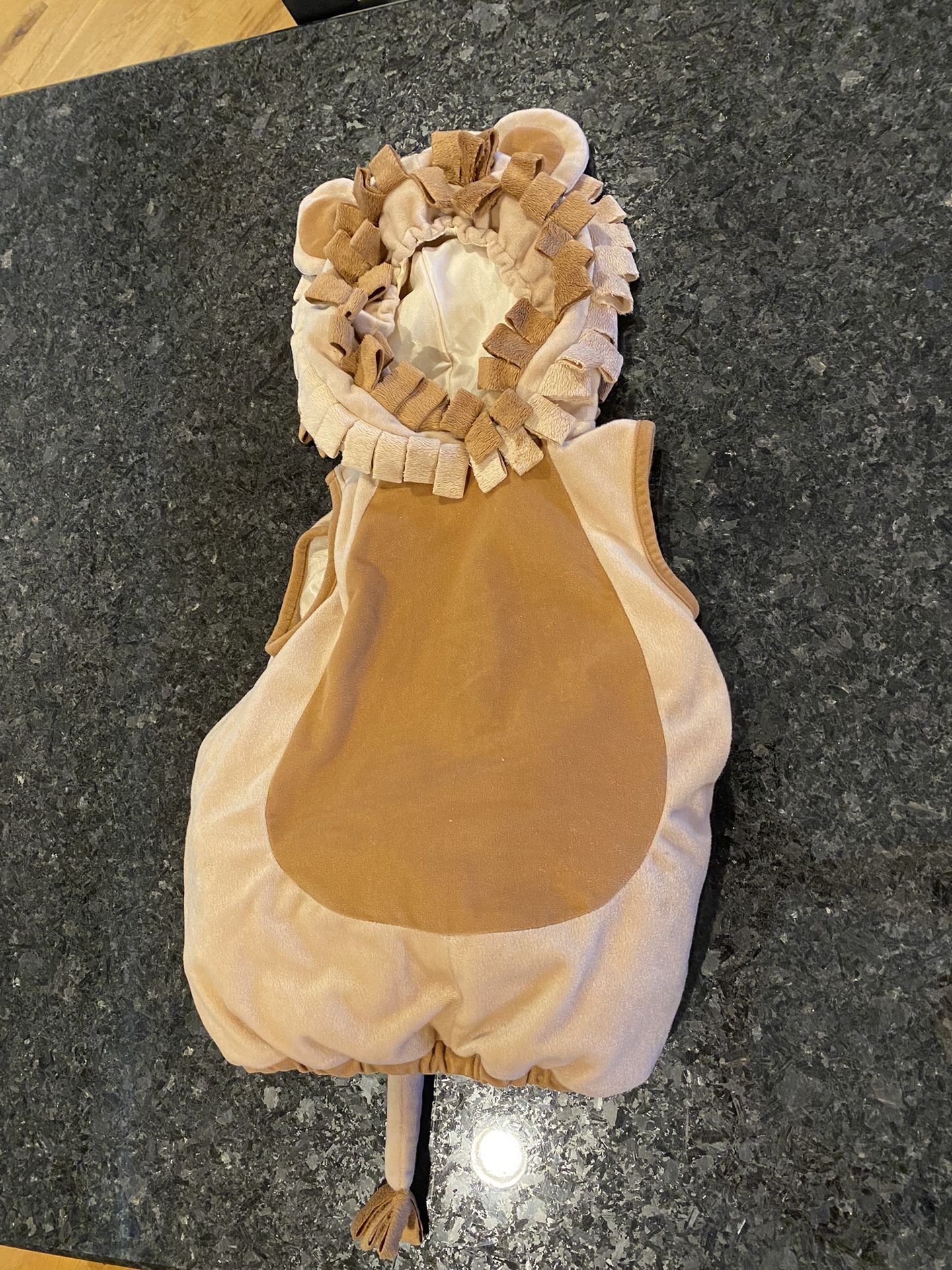 Halloween Costume Lion