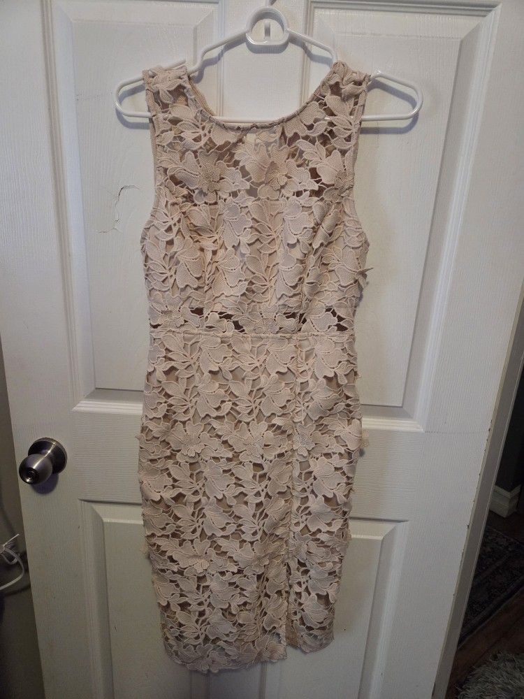 Forever 21 Contemporary Floral Lace Bodycon Dress