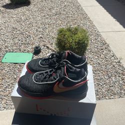 Lebron 20s Miami Heat