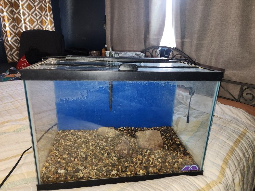 10 Gallon Aquarium