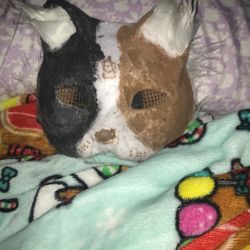 Calico Therian Mask