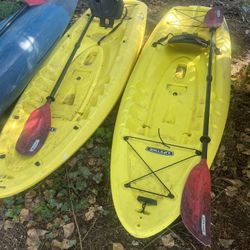 2021 Lifetime Volt 85