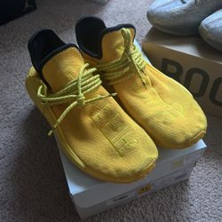 Human Races