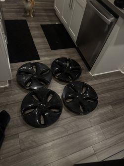 Tesla 19 Inch Hubcaps