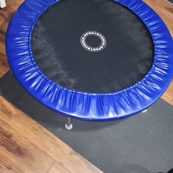 Fitness Trampoline 