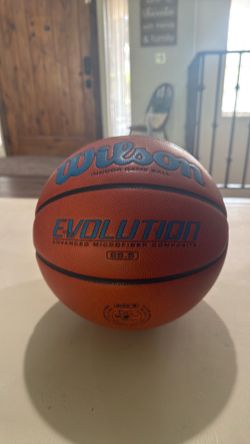 Wilson Evolution basketball