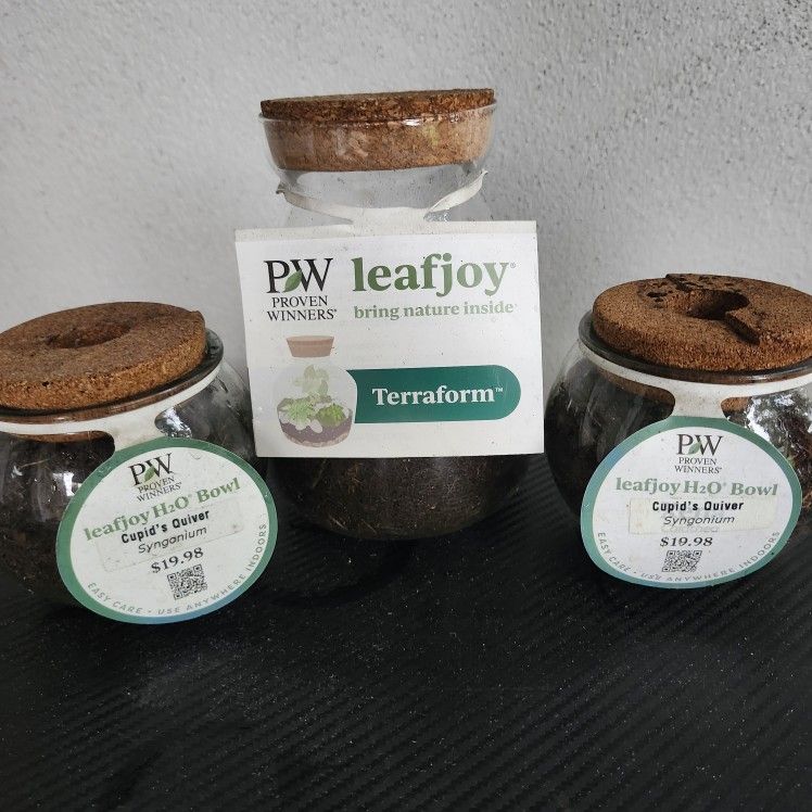 Three For $20 Leafjoy TerraForm Live Plant Terrarium: