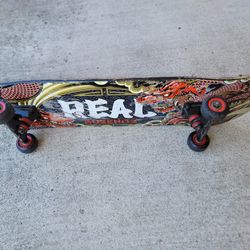 Skate Board 
