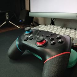 Nintendo Switch Controller