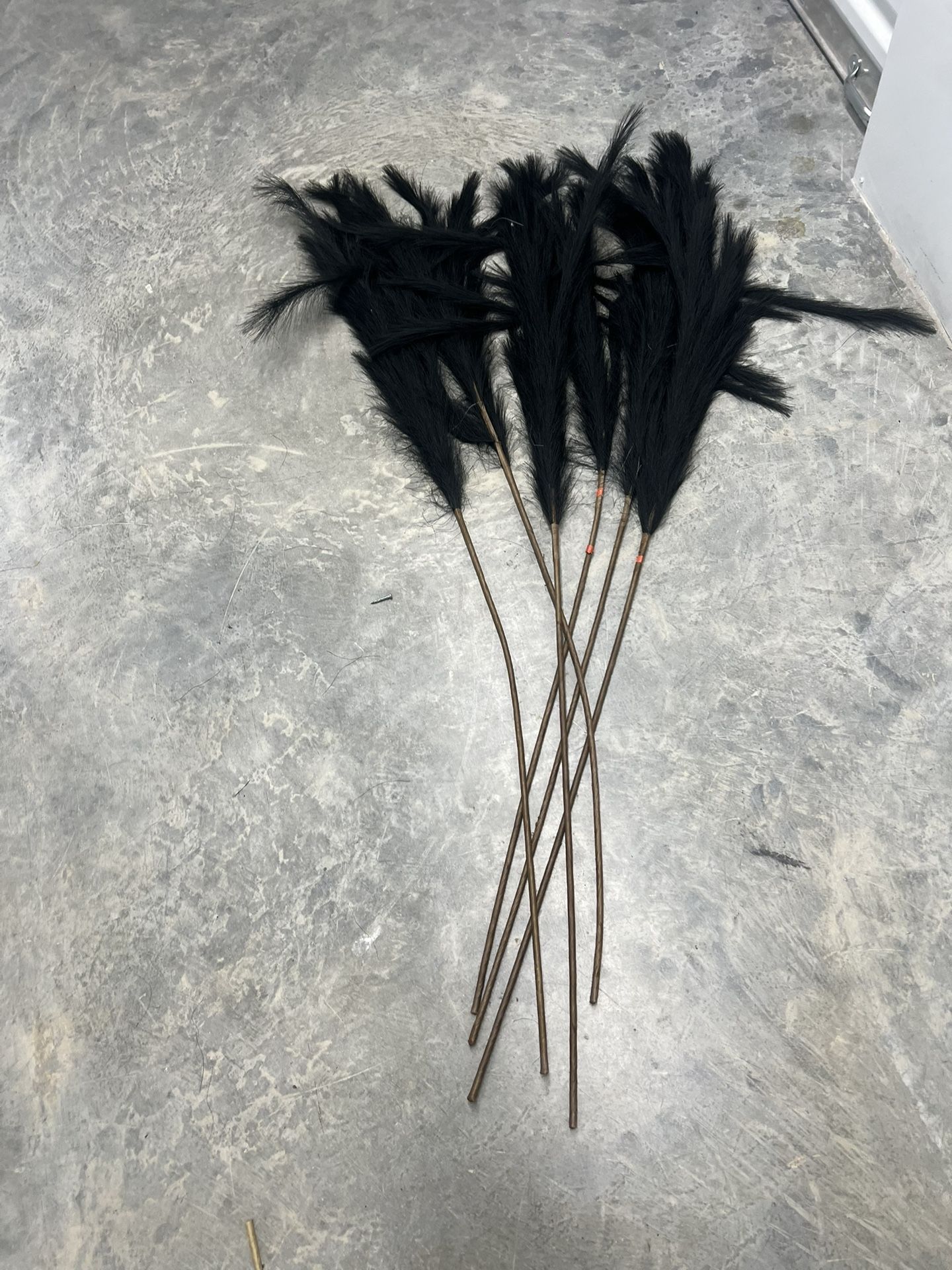 Pampas/ Feather Black