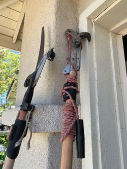 Tree trimming saw and looper