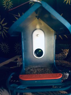 Bird Buddy Pro 2k high definition camera Bird Feeder