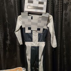 Minecraft  Costume 