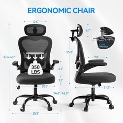Ergonomic Office Chair with Headrest 3D