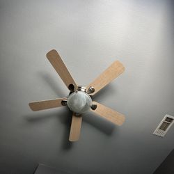 Ceiling Fan For Sale
